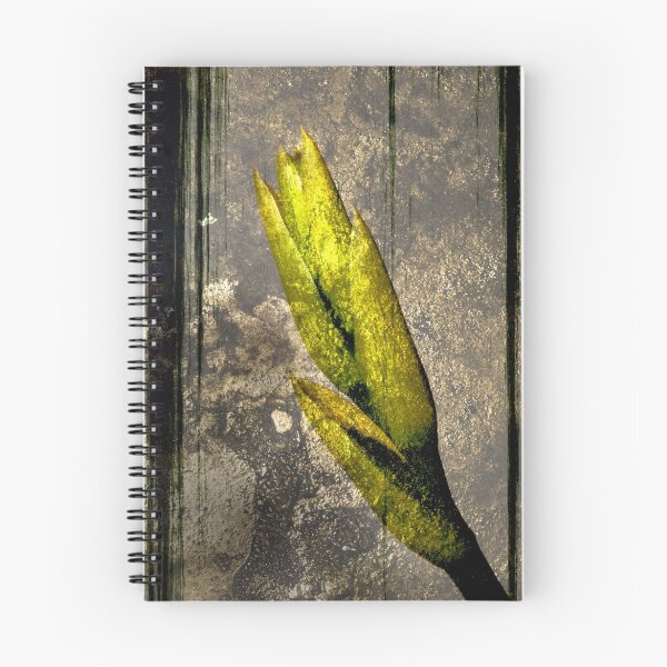 Item preview, Coming soon designed and sold by Steve  Woodman.