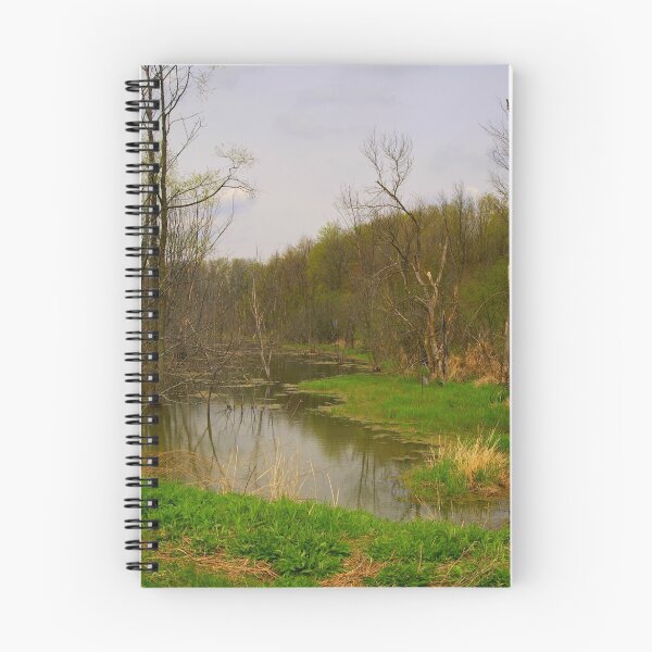 Item preview, Swamp in Spring designed and sold by Larry Llewellyn.