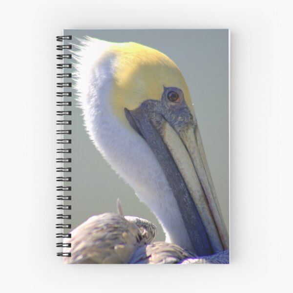 Item preview, An Old Salt..... a very old.... with an eye on you... designed and sold by Larry Llewellyn.