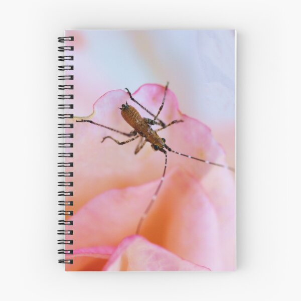 Item preview, The Rose Bug designed and sold by Polly Peacock.