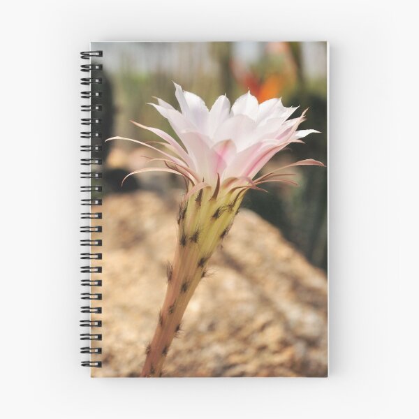 Item preview, Desert Bloom designed and sold by Jarede Schmetterer.