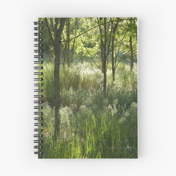 Item preview, Late Afternoon designed and sold by pmn-photography.