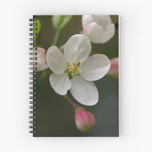 Item preview, Crabapple Blossoms designed and sold by janetlee.