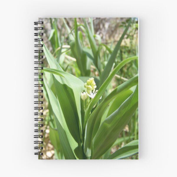 Item preview, The little flower designed and sold by Aaron Taggert.