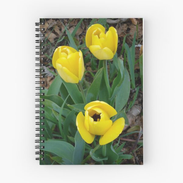 Item preview, Spring Colors designed and sold by Gregory Ewanowich.