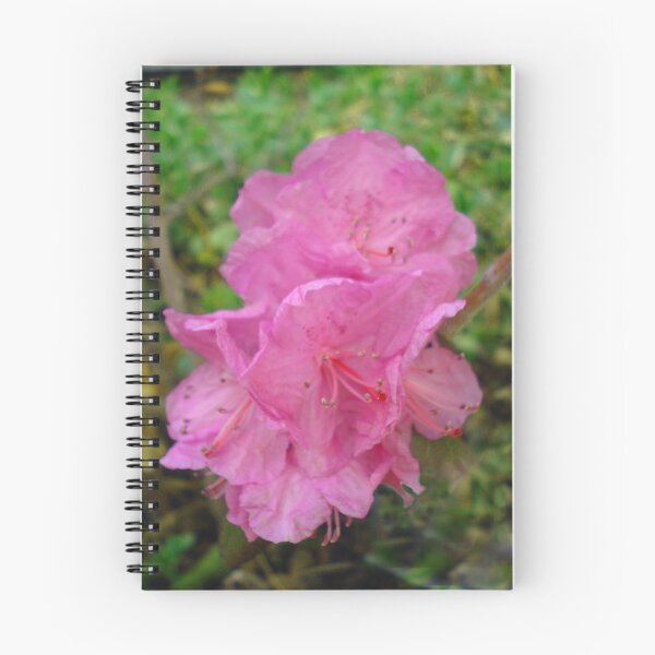 Item preview, Rhododendren  designed and sold by Gregory Ewanowich.
