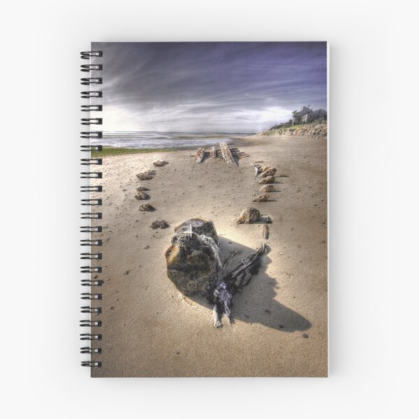 Item preview, The Hammer Shipwreck Cape Cod HDR designed and sold by Artist Dapixara.