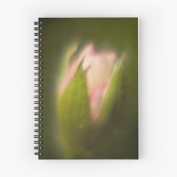 Item preview, soft tones designed and sold by Andrea Rapisarda.