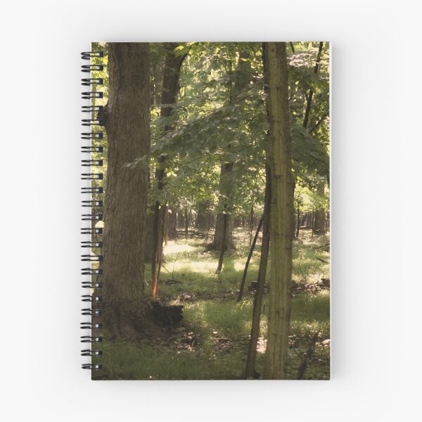 Item preview, Secret Spot designed and sold by Jarede Schmetterer.
