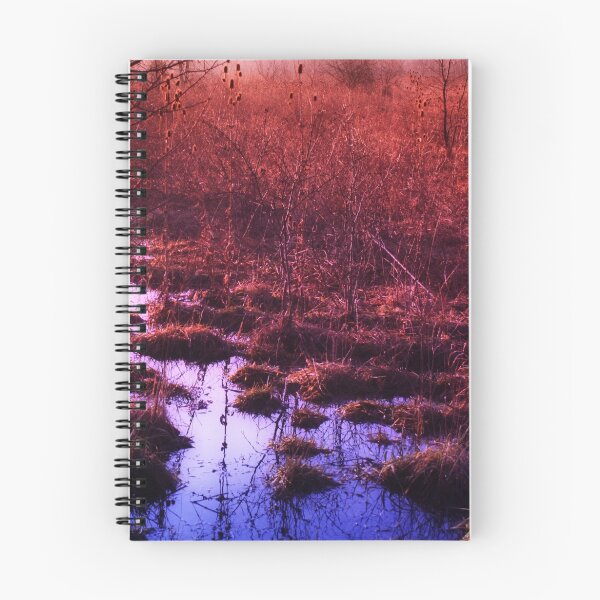 Item preview, Standing Water At Sunset designed and sold by Jarede Schmetterer.