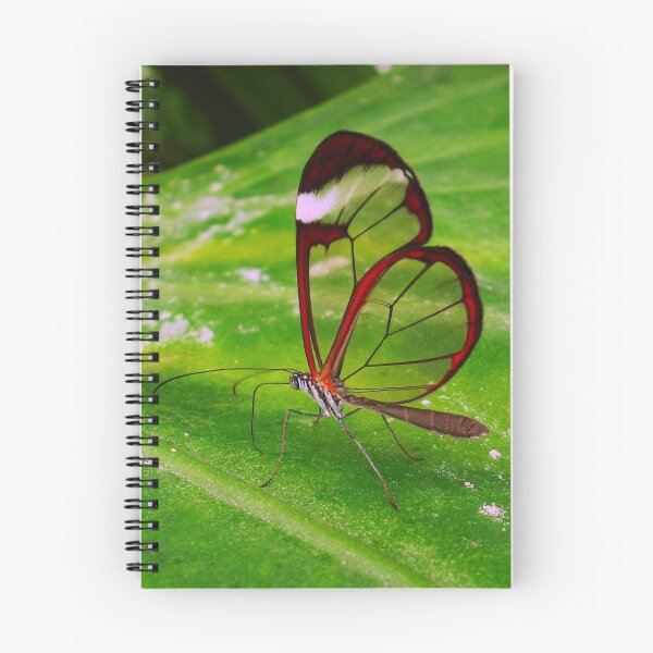 Item preview, Clearwing designed and sold by Dawn B Davies-McIninch.