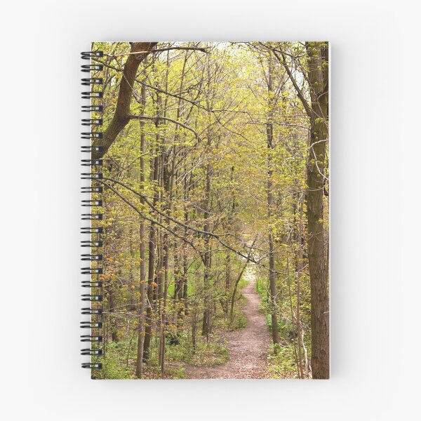 Item preview, A Path in Spring...... soon, the leaves will be FALLING!!!!! designed and sold by Larry Llewellyn.