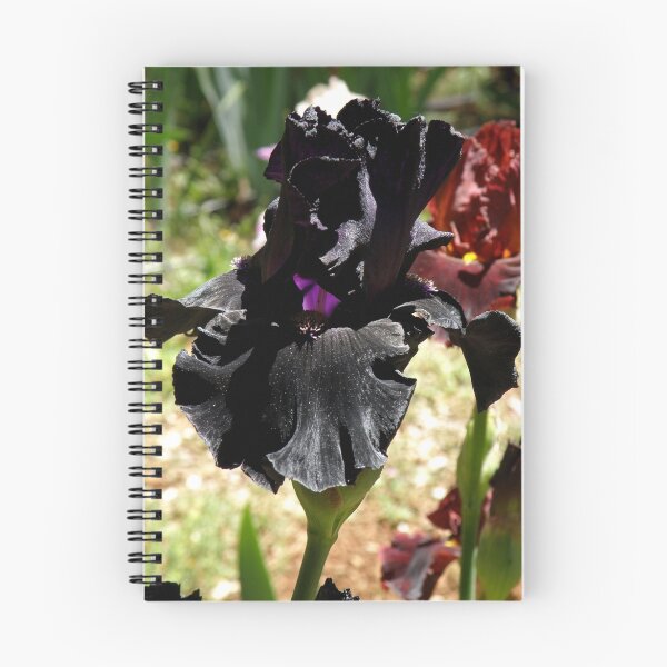 Item preview, Ambiguous Iris designed and sold by Patty Lewis.