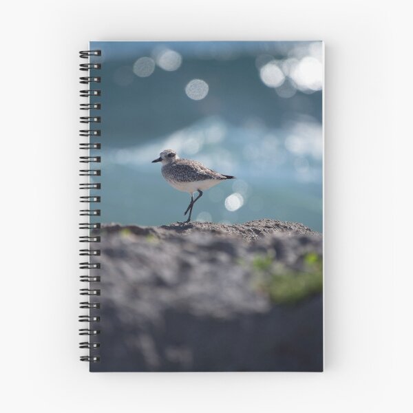 Item preview, Sandpiper at Akumal designed and sold by Chris Monks.