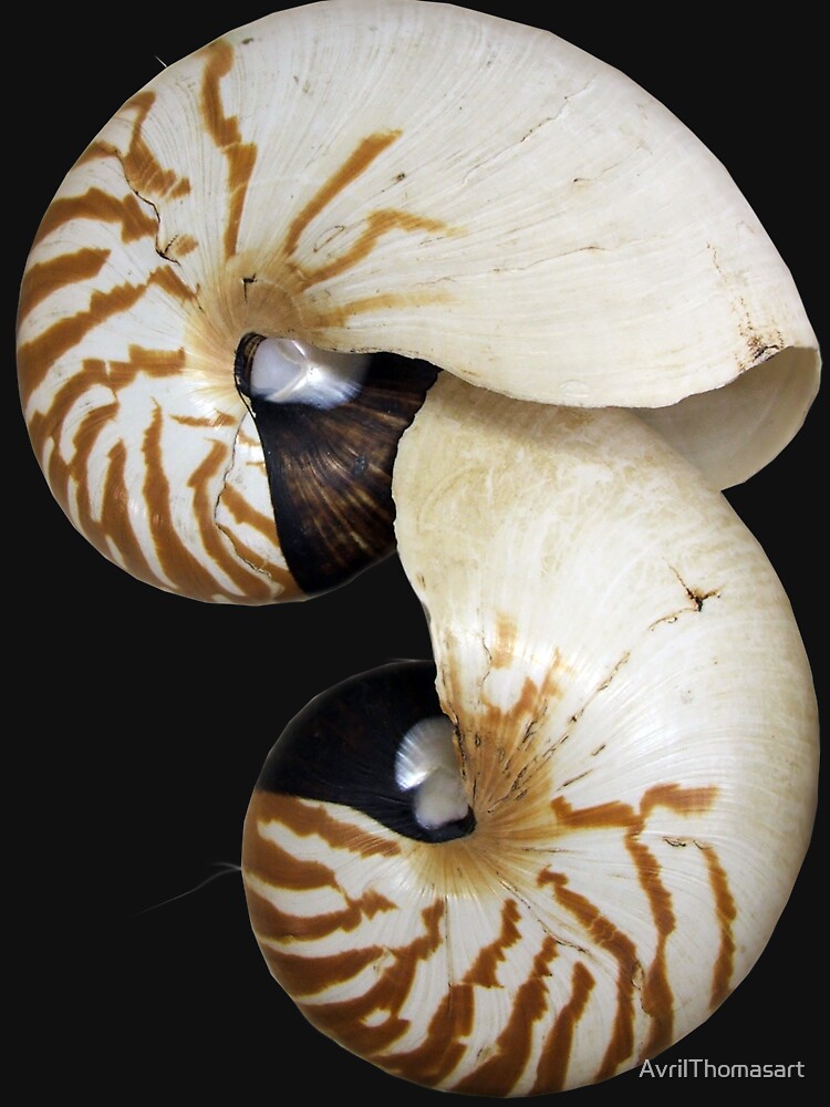Thumbnail 7 of 7, Classic T-Shirt, Nautilus Shell - photography by Avril Thomas - Adelaide / South Australia Artist designed and sold by AvrilThomasart.