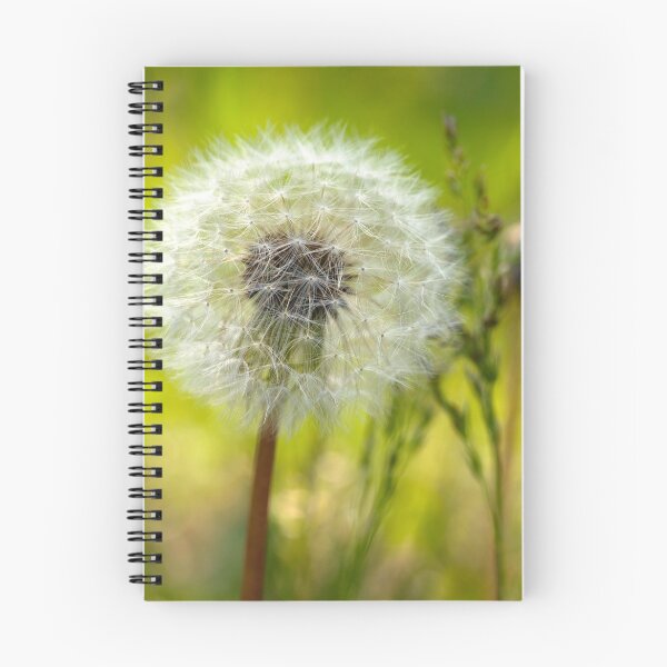 Item preview, Wanted: Warm Breeze, Cool Rain, Spring Sunshine designed and sold by Modified.