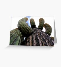 Sonoran Scenery Series ~ 1 Greeting Card