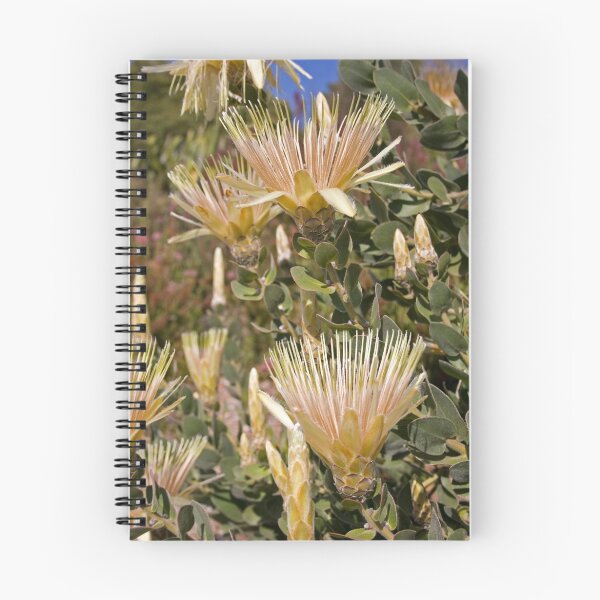 Item preview, Wild Protea Hair designed and sold by Kellea Croft.
