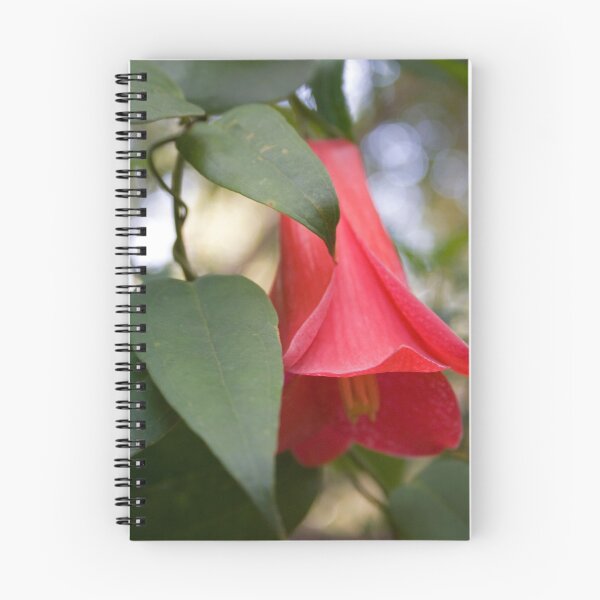Item preview, Chiliean Bellflower designed and sold by Kellea Croft.
