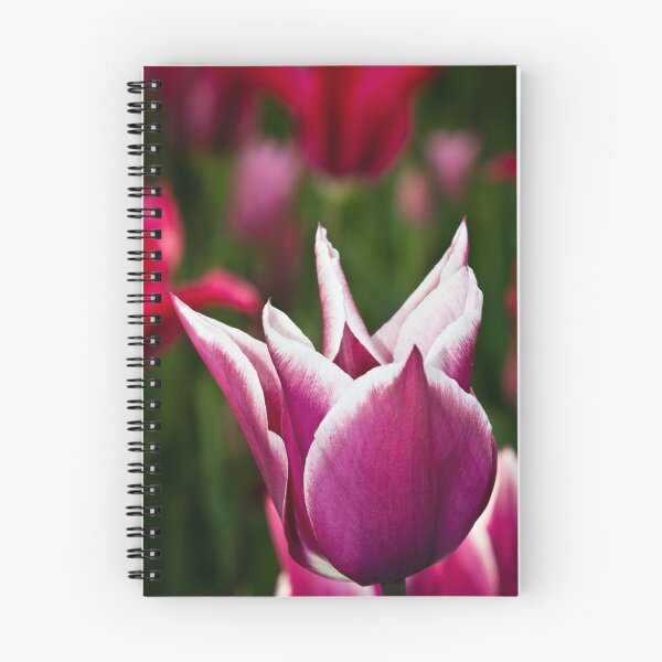 Item preview, Tulip designed and sold by Jon Bradbury.
