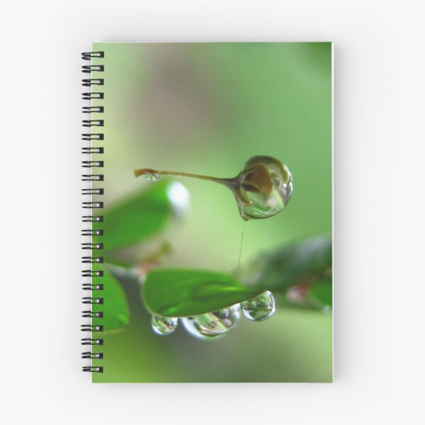 Item preview, Suspended designed and sold by Vanessa Barklay.