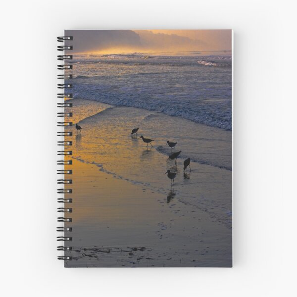 Item preview, Dawn at Torrie Pines with Shore Birds designed and sold by photosbyflood.