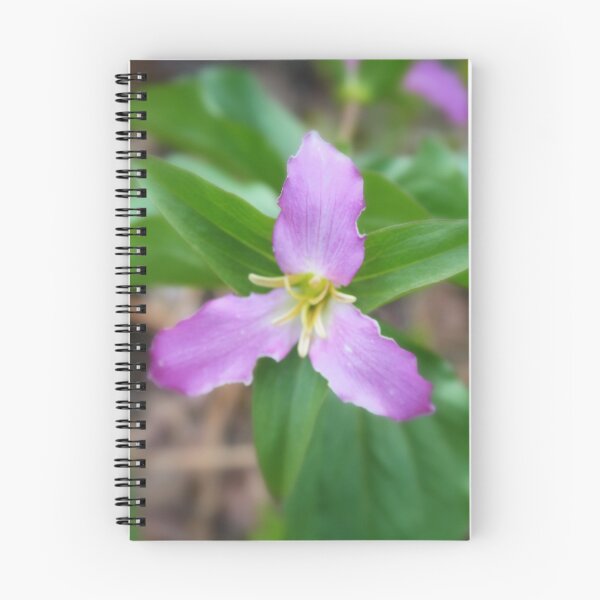 Item preview, A Mother's day Trillium designed and sold by Debbie Roelle.