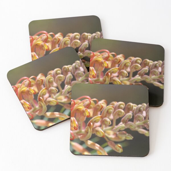 Item preview, Golden Spring Grevilleas   designed and sold by Joy Watson - Natural Light Photography .
