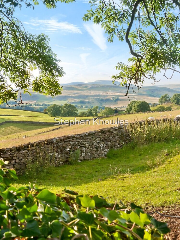 God's own County, North Yorkshire by stephenknowles