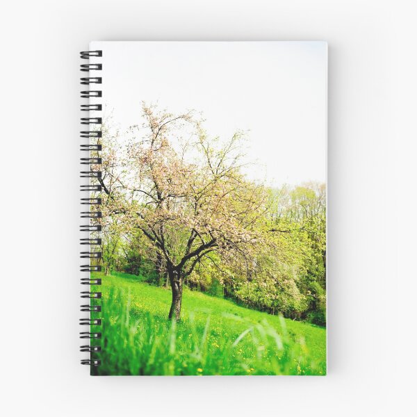 Aperçu de l'œuvre old apple tree créée et vendue par Elizabeth Pellette.