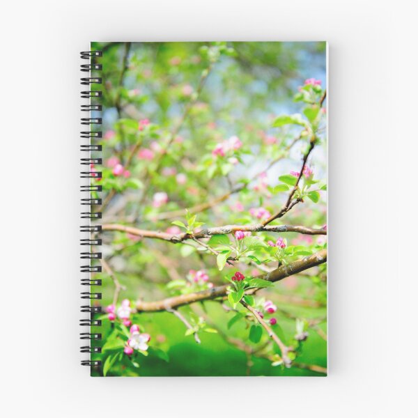 Aperçu de l'œuvre apple tree créée et vendue par Elizabeth Pellette.