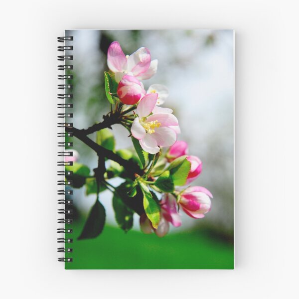 Aperçu de l'œuvre in bloom créée et vendue par Elizabeth Pellette.