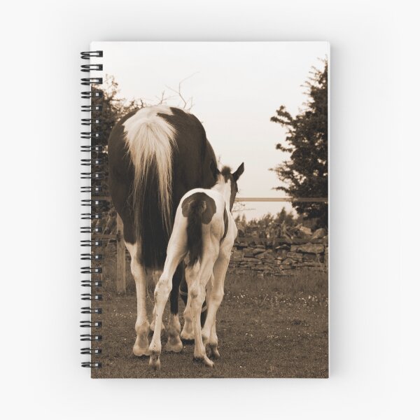 Item preview, Horsey bum :) designed and sold by Kasia Fiszer.