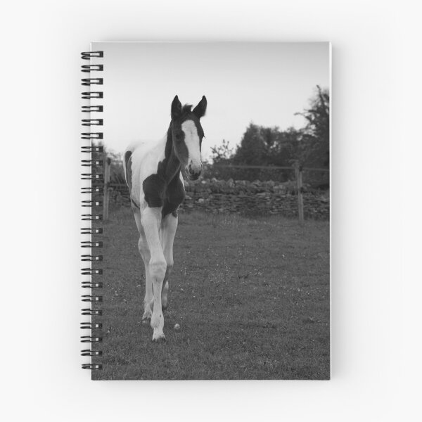 Item preview, Filly# designed and sold by Kasia Fiszer.