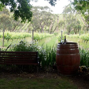 Artwork thumbnail, After 5 - Magpie Springs - Adelaide Hills Wine Region - Fleurieu Peninsula - Winery by MagpieSprings