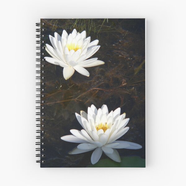 Item preview, Two Water Lilies designed and sold by WTBird.
