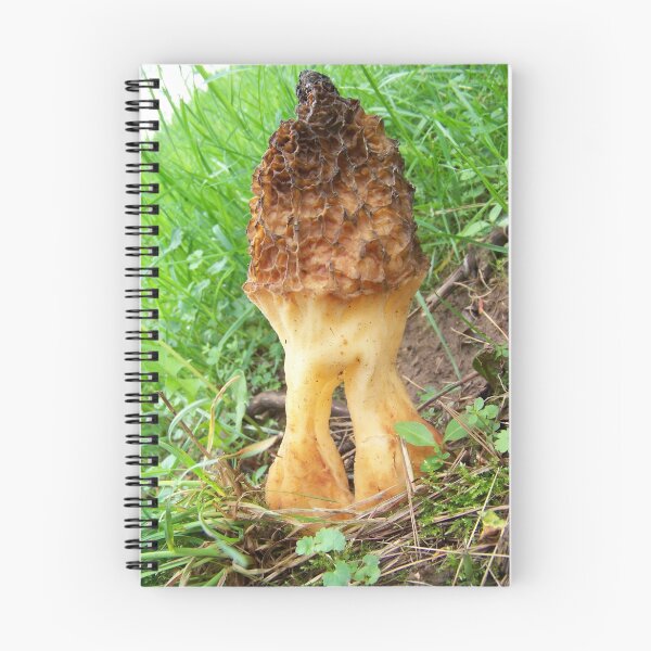 Item preview, Wierd Shroom designed and sold by Dalton Sayre.