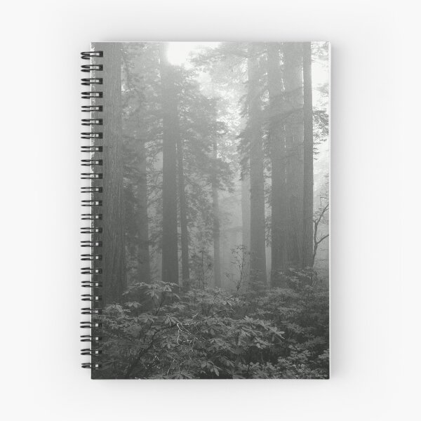 Aperçu de l'œuvre CALIFORNIE.

CANON F-1 créée et vendue par Chuck Wickham.