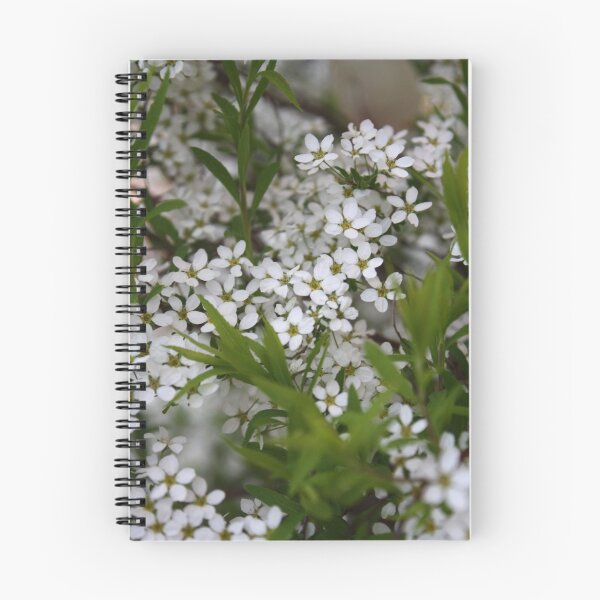 Item preview, Tender cascade designed and sold by Tanja Katharina Klesse.