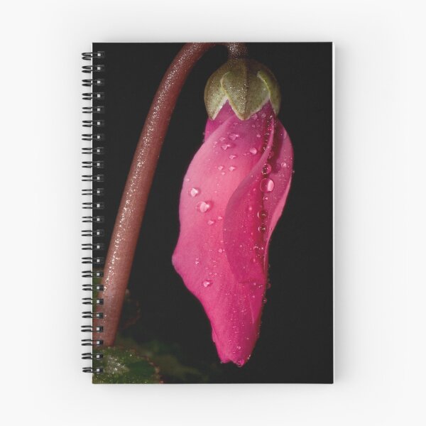 Item preview, Ready to bloom designed and sold by traveller.