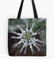 Cats Wiskers Tote Bag