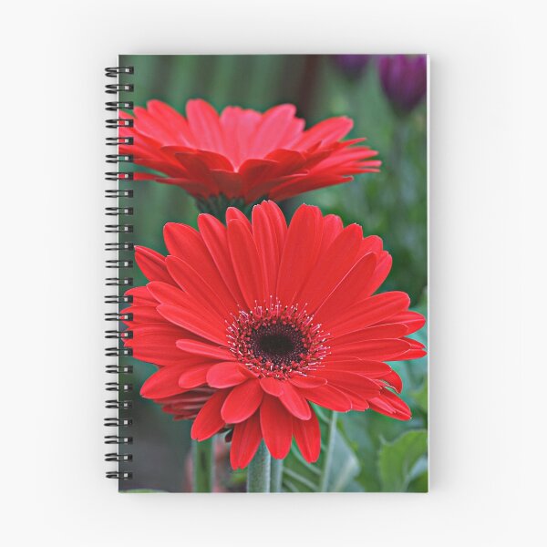 Item preview, Gorgeous Gerbers designed and sold by Kelly Cavanaugh.