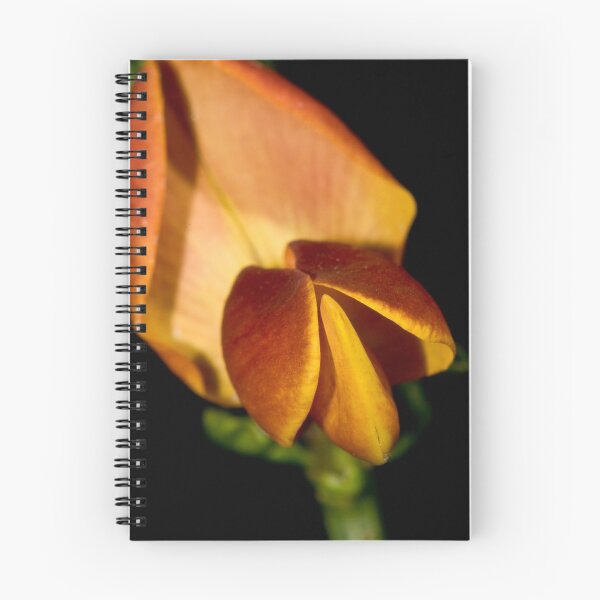 Item preview, The bloom of the broom. designed and sold by traveller.