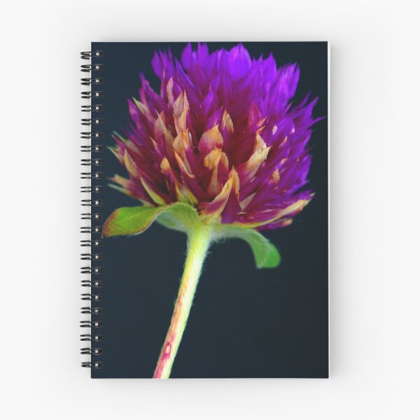 Item preview, Spiky designed and sold by Extraordinary Light.
