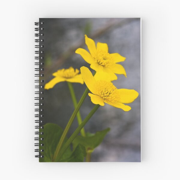 Item preview, Lesser Celandine (Ranunculus ficaria) designed and sold by Steve Chilton.