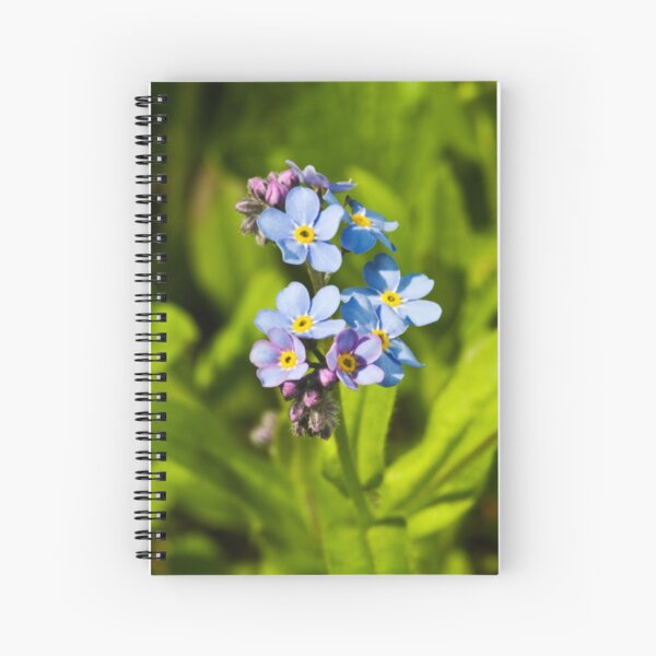 Forget-me-not Flowers (Myosotis arvensis) Spiral Notebook