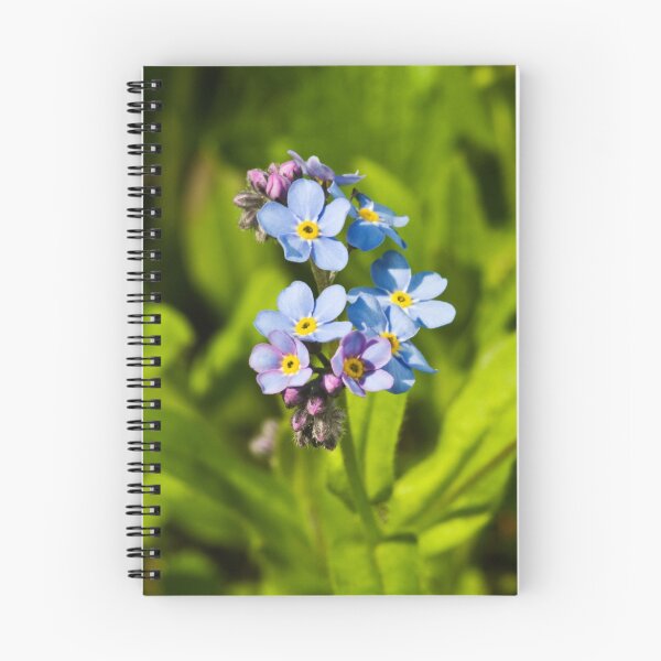 Item preview, Forget-me-not Flowers (Myosotis arvensis) designed and sold by Steve Chilton.