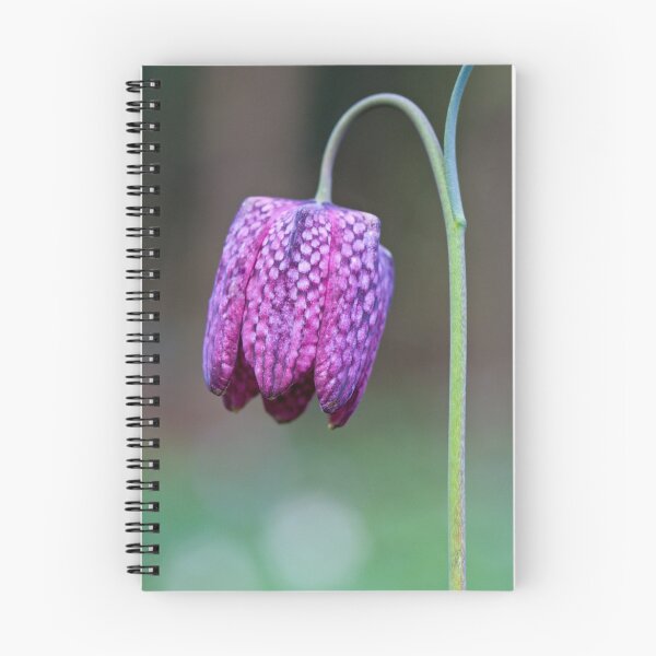 Item preview, Fritillary (Fritillaria meleagris) designed and sold by Steve Chilton.