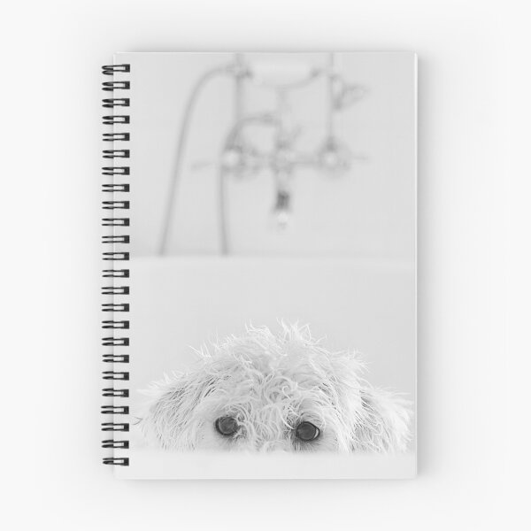 Item preview, Playing Peek-a-boo... designed and sold by Nicole Goggins.