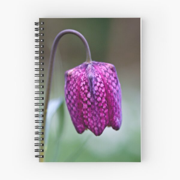 Item preview, Fritillary (Fritillaria meleagris) designed and sold by Steve Chilton.